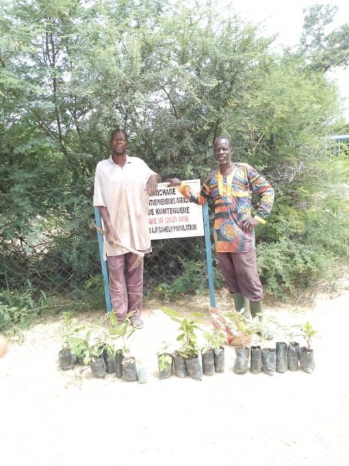 Mobirise Website Builder